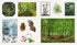 THE STICKER TREASURY OF WOODLAND ADVENTURES - SMITH STREET BOOKS